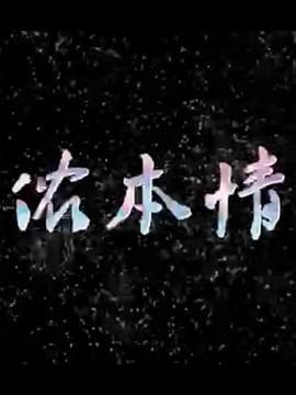 侬本情第1集