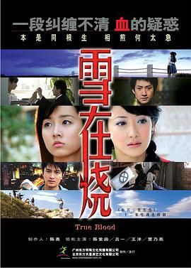 雪在烧 2007第19集